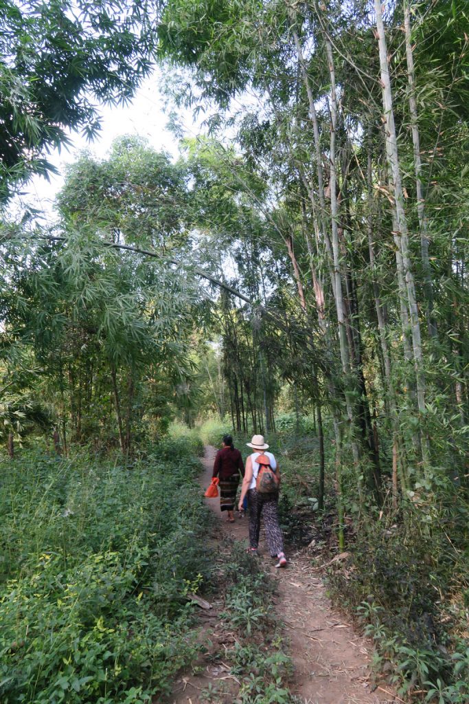 inlebamboopath