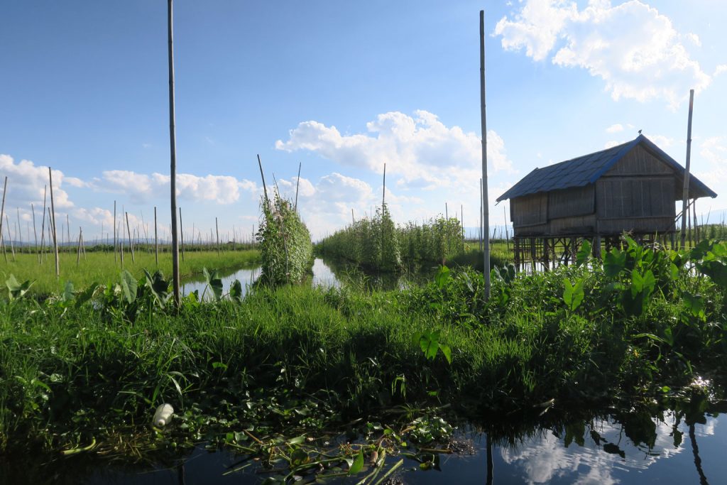 inle_floatingfarm